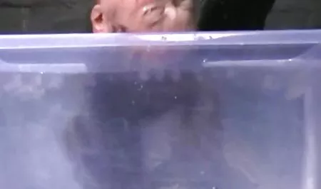 چشمه مایع ضخیم سفید روی دانلود عکس و فیلم های سکسی صورت جنا ماری